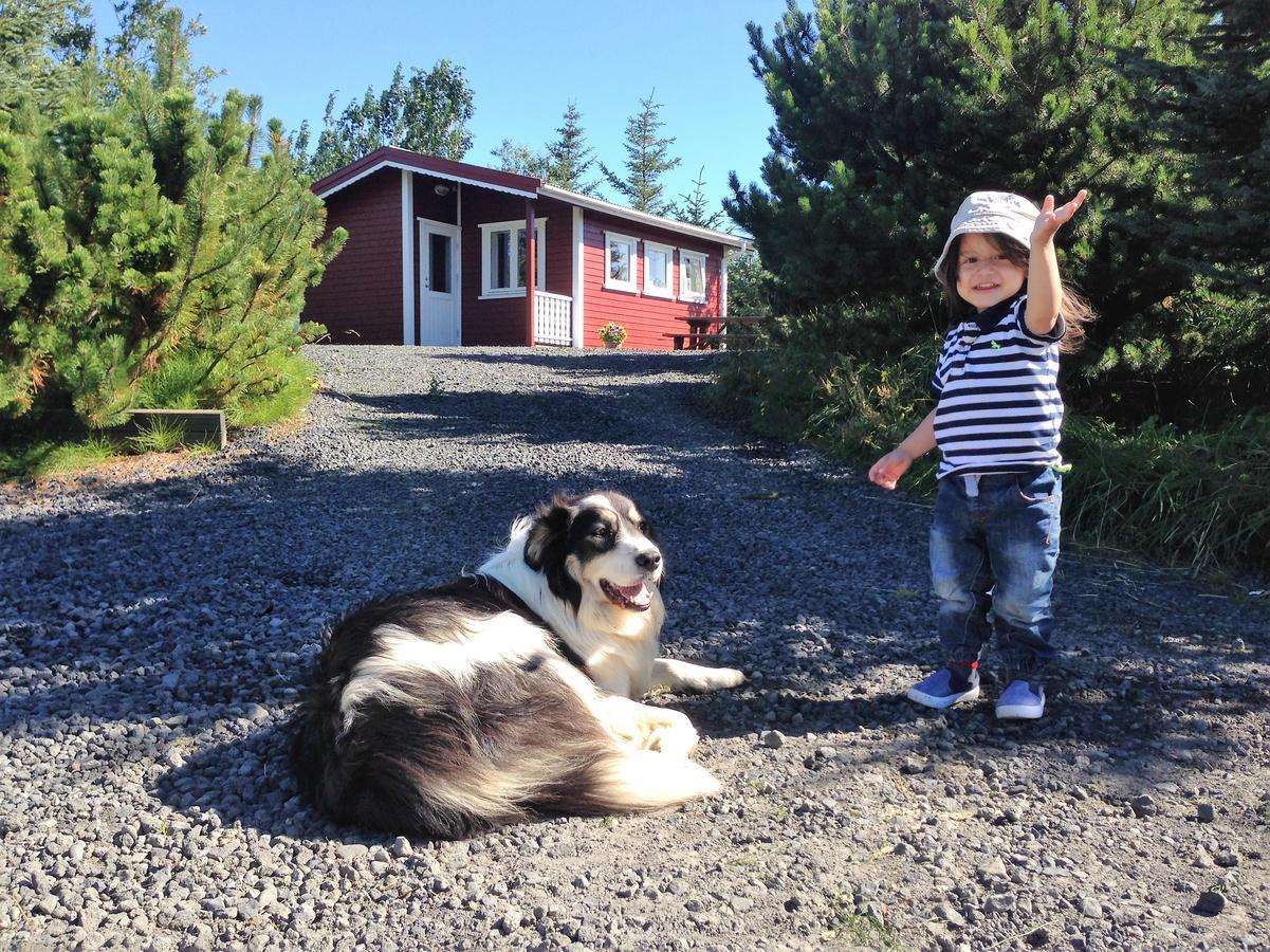 Klara'S Farm Holidays Hella Extérieur photo